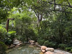 -天目湖涵田半山温泉