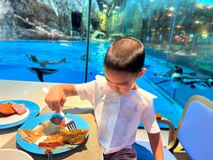 -帝企鹅自助餐厅•儿童岛•真企鹅(长隆企鹅酒店)