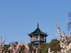 -无锡梅园公园