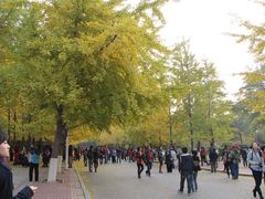 -辽宁大学(崇山校区)