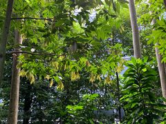 -吉隆坡国际机场