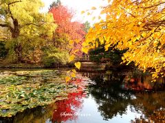 -北海道厅旧本厅舍(旧本庁舎)