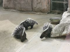 -龙口动植物园