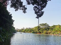 -小洲村