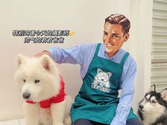 -星多哈·狗咖·拼豆·咖啡