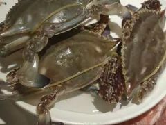 -马达风盛海鲜烤肉火锅自助餐厅(银谷店)