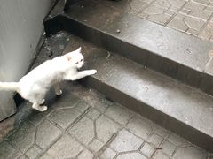 -山城巷传统风貌区