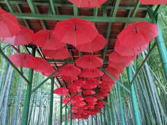 -陶祖圣境风景区