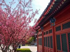 -即墨古城