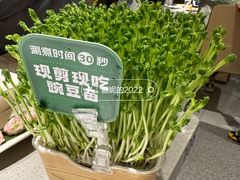 豌豆苗-海底捞火锅(泉城路店)