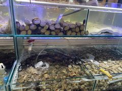 -四海蒸鲜蒸汽海鲜自助(北戴河店)