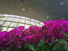 -郑州植物园