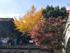 -老阊门菜馆(山塘街店)