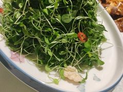 -燕春楼(海河华鼎店)