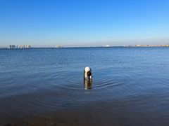 -东戴河风景区-止锚湾