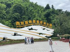 -西双版纳原始森林公园