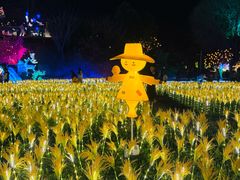 -国际非物质文化遗产博览园