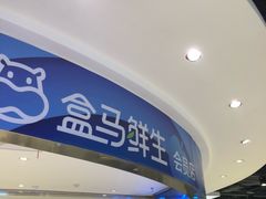 -盒马鲜生(大成店)