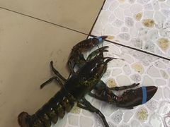-南海渔家•海鲜•正宗海南菜(海棠湾店)