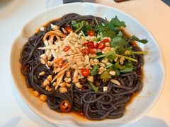 -巷子宽·酸菜鱼(迪士尼小镇店)