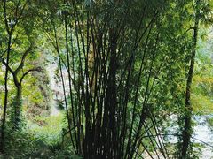 -凤栖山