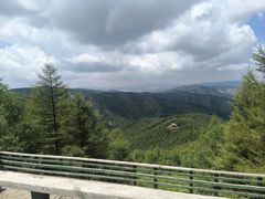 -苏木山森林公园