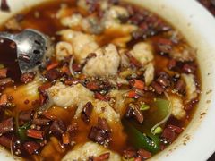飘香沸腾鱼-许家菜(DT51店)