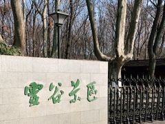 -灵谷景区