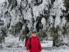 -武陵山森林公园