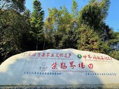 -紫鹊界梯田景区