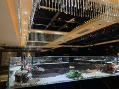 -红辣椒·川菜·火锅(张杨路店)