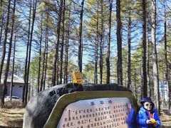 -塞罕坝国家级自然保护区