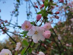 -南京市江宁方山