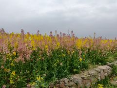 -白鹭湾湿地公园