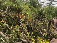 -南通洲际绿博园