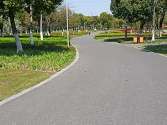 -九里河湿地公园