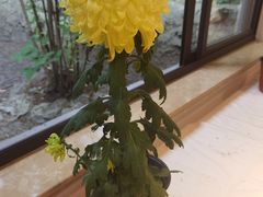 -汇龙潭