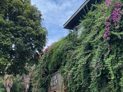 -吉祥格桑花开素食餐厅