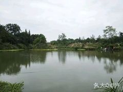 -桤木河湿地公园