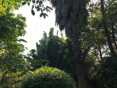 -白沙门生态公园