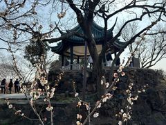 -无锡梅园公园