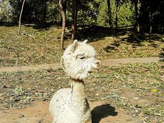 -安立路(地铁站)