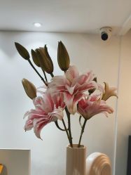 -春田皮肤管理中心品牌旗舰店