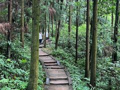 -青城山