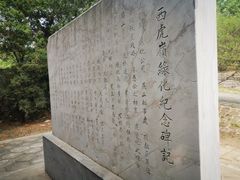 -白水寺森林公园
