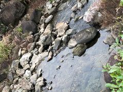 -浙西大峡谷