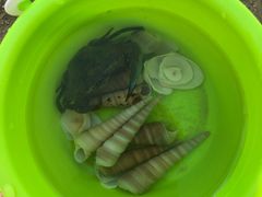 -碧桂园十里银滩