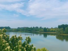 -东郊湿地公园