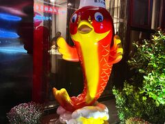 -阿五黄河大鲤鱼(建业路店)