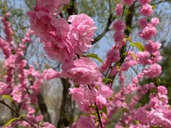 -大兴滨河森林公园